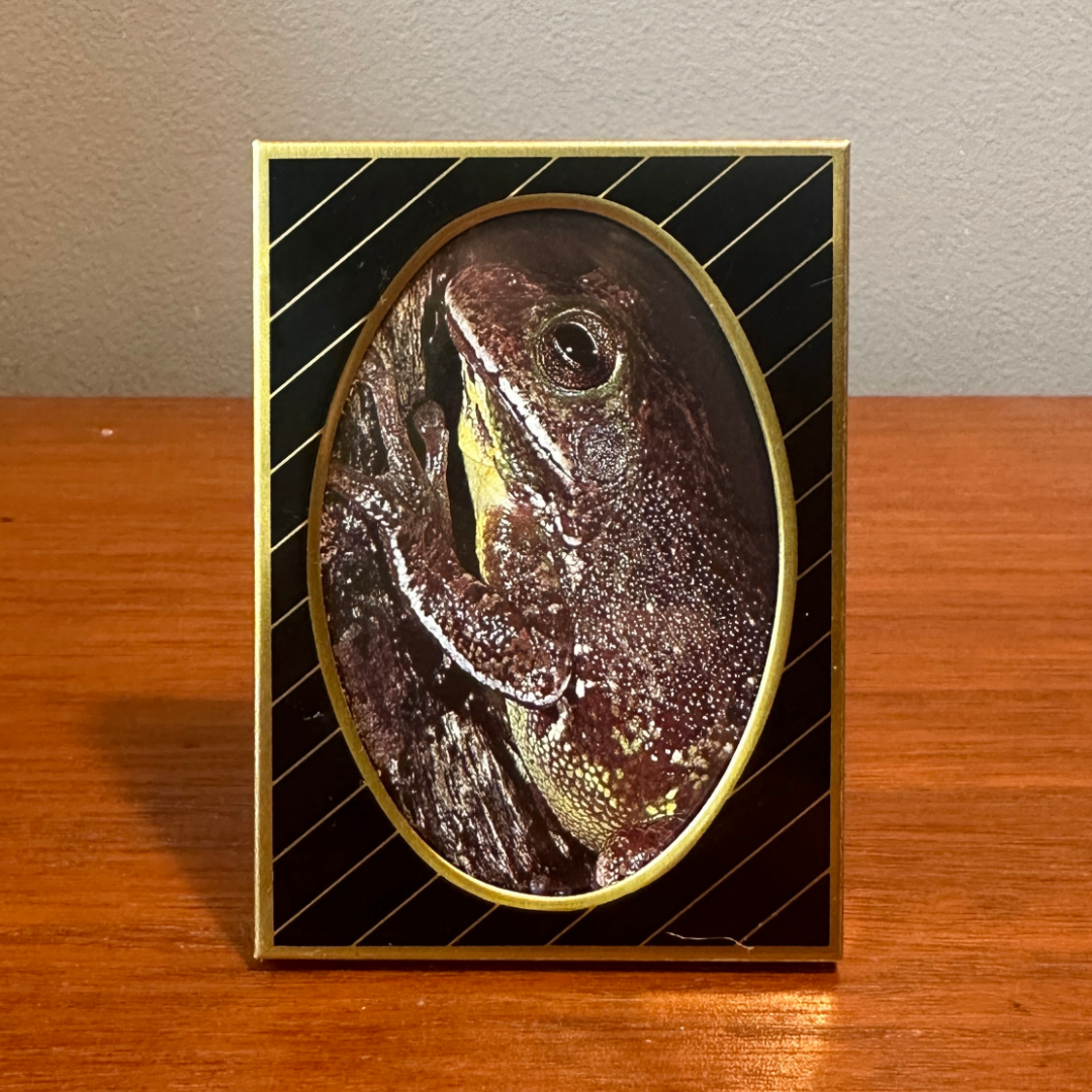 Solo Pet Portrait - Small