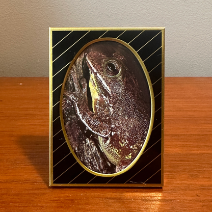 Solo Pet Portrait - Small