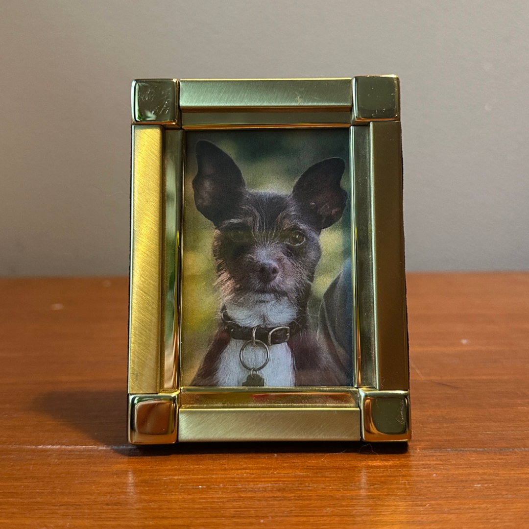 Solo Pet Portrait - Small