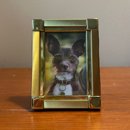Solo Pet Portrait - Small