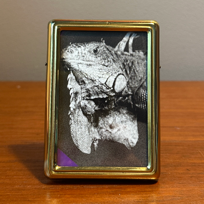 Solo Pet Portrait - Small