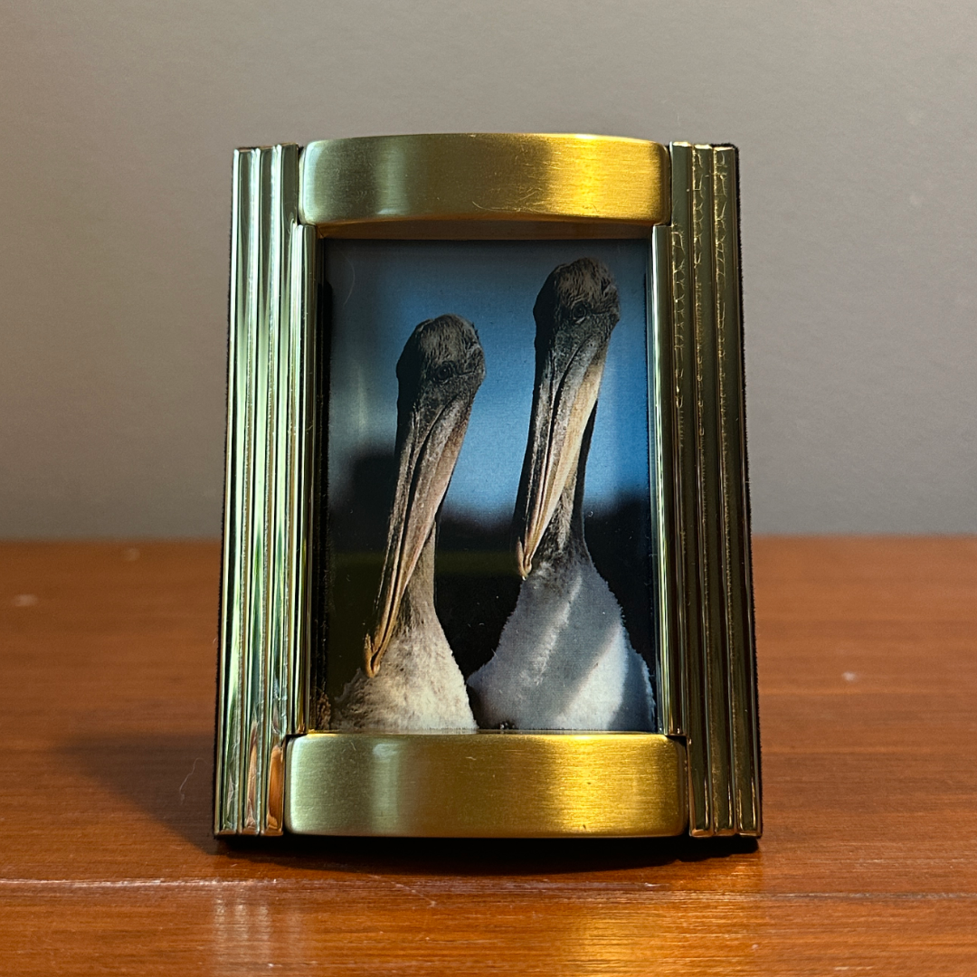 Solo Pet Portrait - Small
