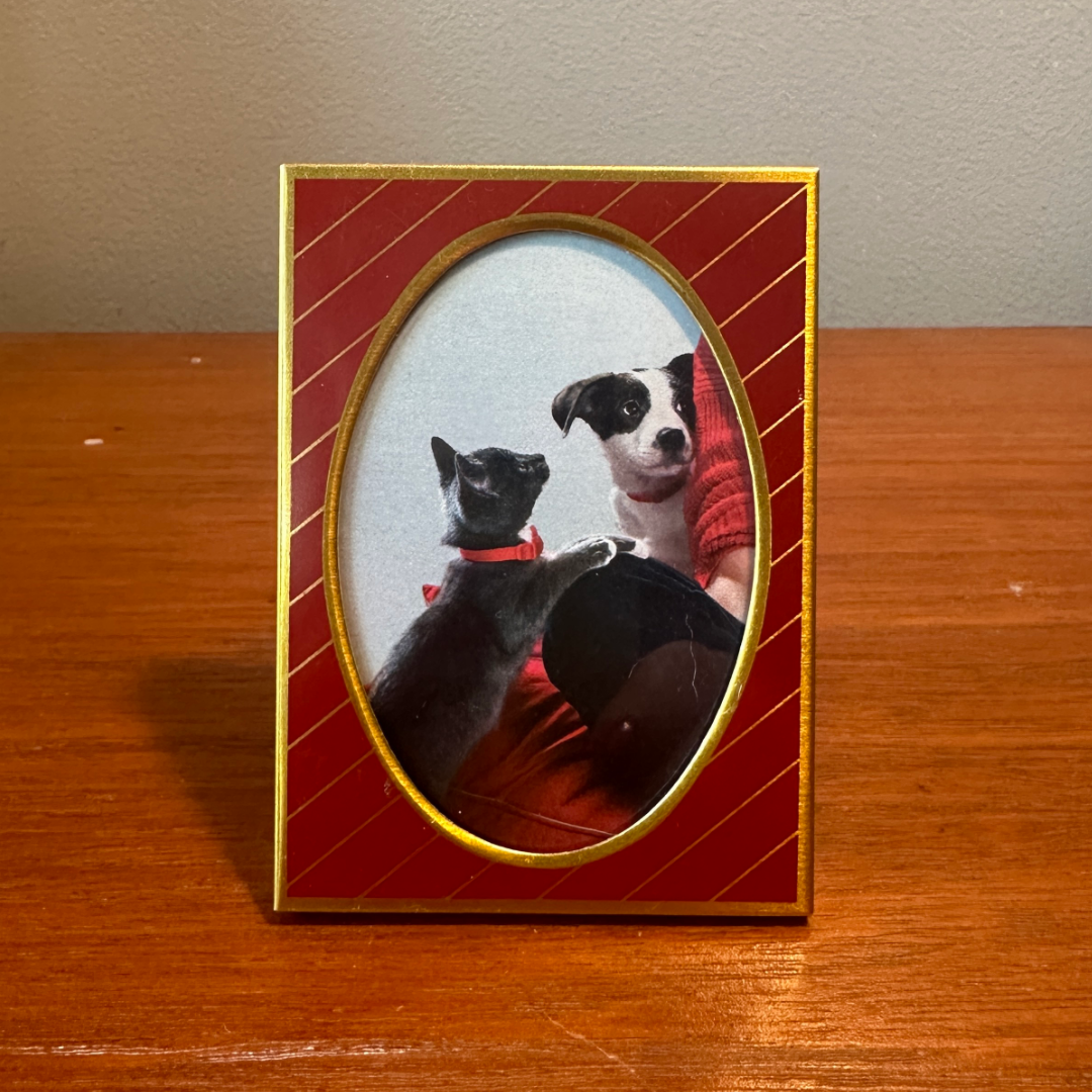 Solo Pet Portrait - Small