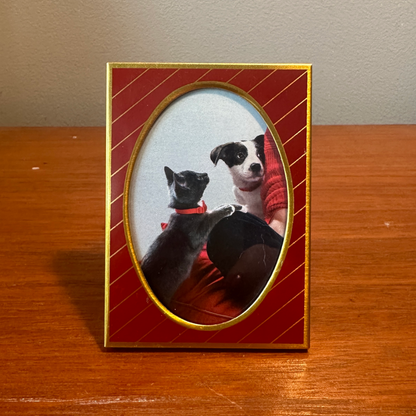 Solo Pet Portrait - Small