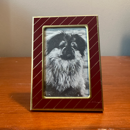 Solo Pet Portrait - Small
